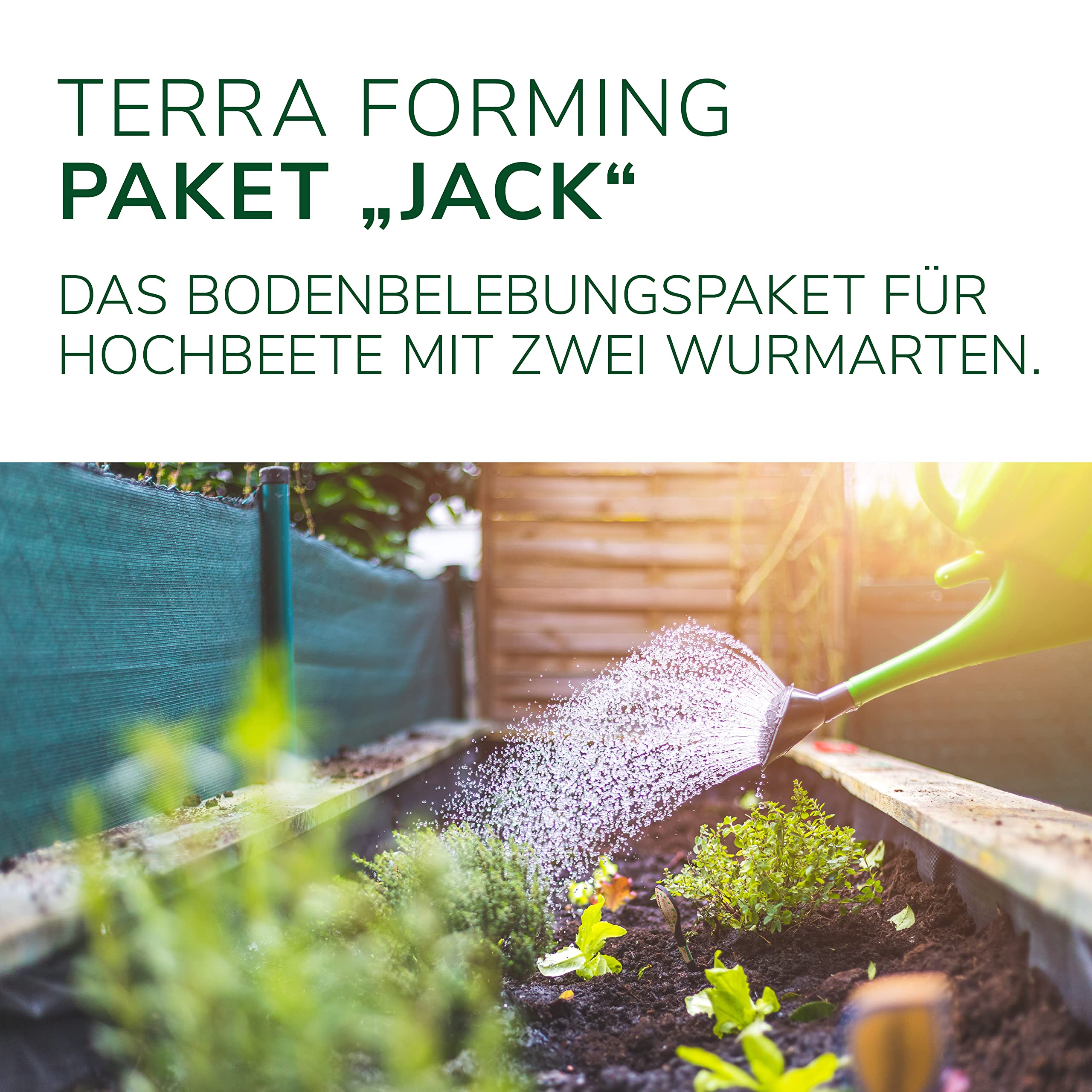 Natursache Terra Forming Paket „Jack“ I Natürlicher Bodenaktivator für Hochbeete und Pflanzkübel für 1-3 m² I Bodenverbesserer-Set mit Styroporbox, 150 STK. Regenwürmer & Einer Anleitung