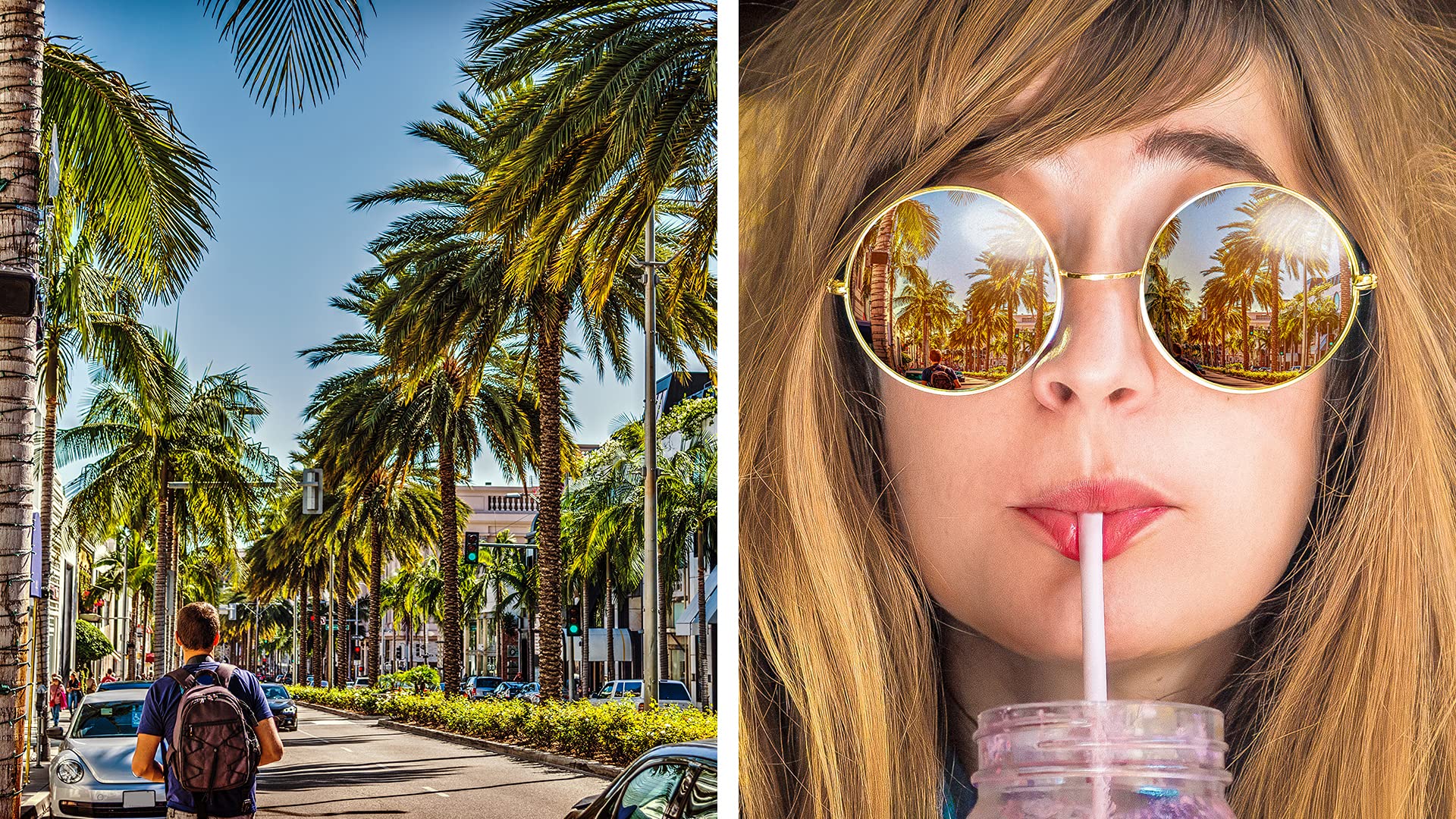 Adobe Photoshop & Premiere Elements 2022 Studenten und Schüler