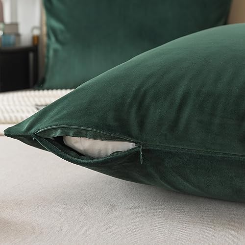 Miniatura 5 de H HOUSEHOLD Juego de 2 fundas de almohada de terciopelo tamaño Queen, suaves y acogedoras, de franela mullida de 20 x 30 pulgadas, con cremallera