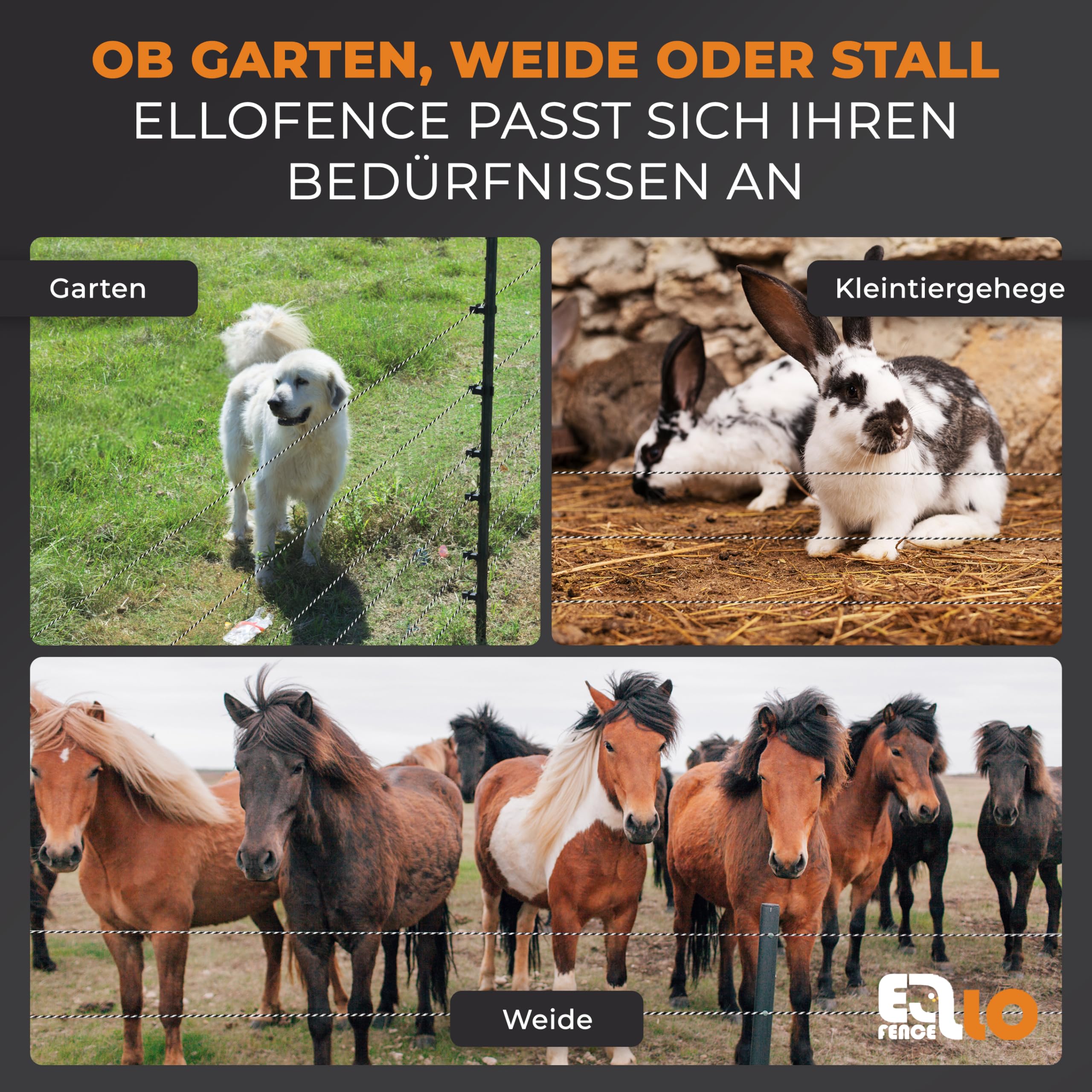 Weidezaunlitze (250m) - Robuste Litze für Weidezaun & Elektrozaun - Leitfähige Stromlitze für Tierzaun - Premium Elektrozaunlitze - UV-beständig & wetterfeste Zaunlitze