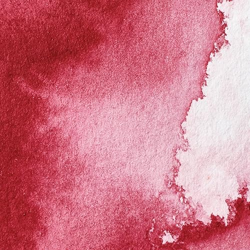 Miniatura 16 de Winsor & Newton - Pintura para acuarela profesional