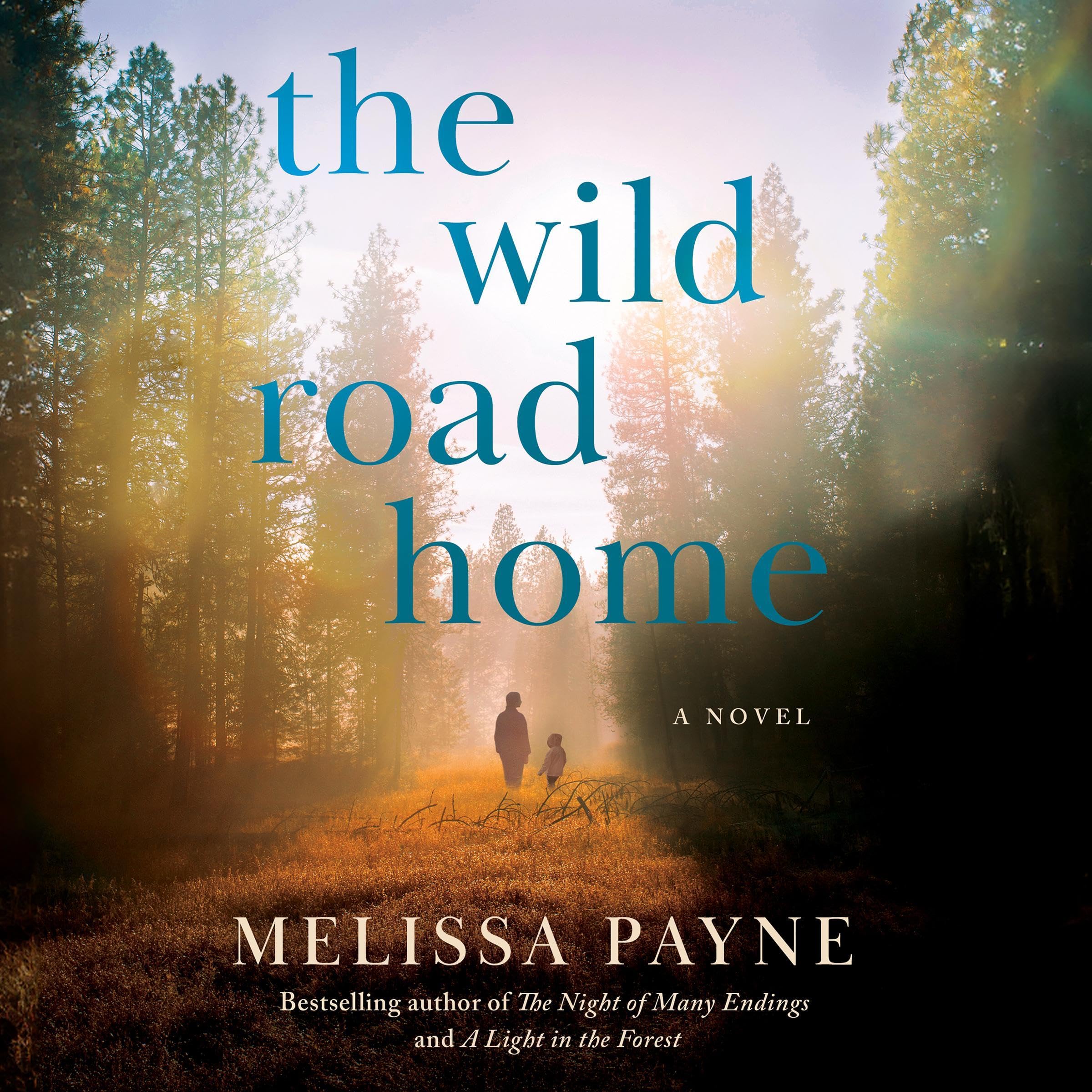 Cover art for The Wild Road Home