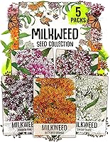 Seed Needs Milkweed Seeds Variety Pack - 5 Packs Pink Orange White Asclepias for Monarch Butterfly Gardens