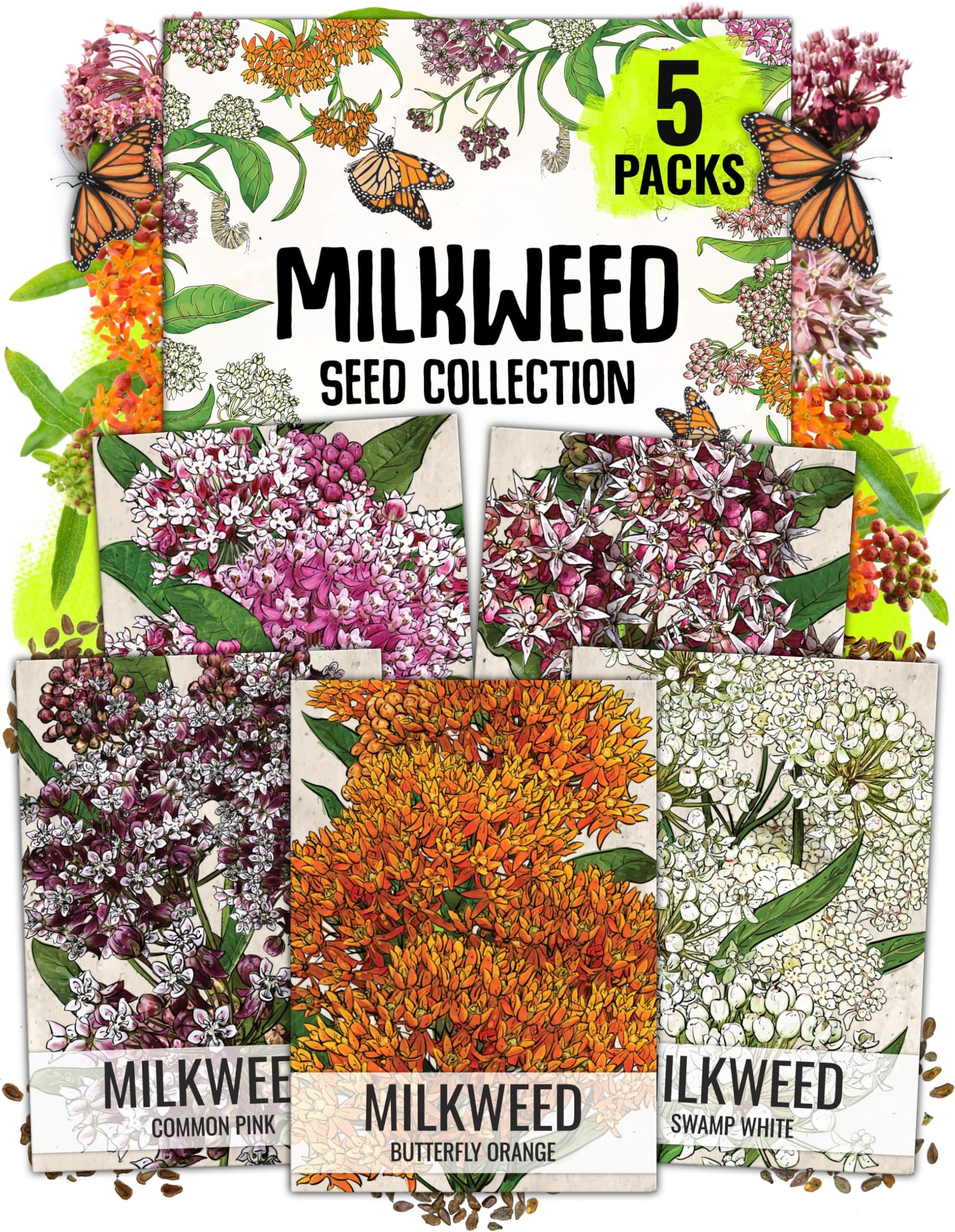 Seed Needs Milkweed Seeds for Planting a Butterfly Garden to Attract Monarch Butterflies - Collection of Pink, Orange & White Asclepias Milk Weed Variety Pack (5 Packs)