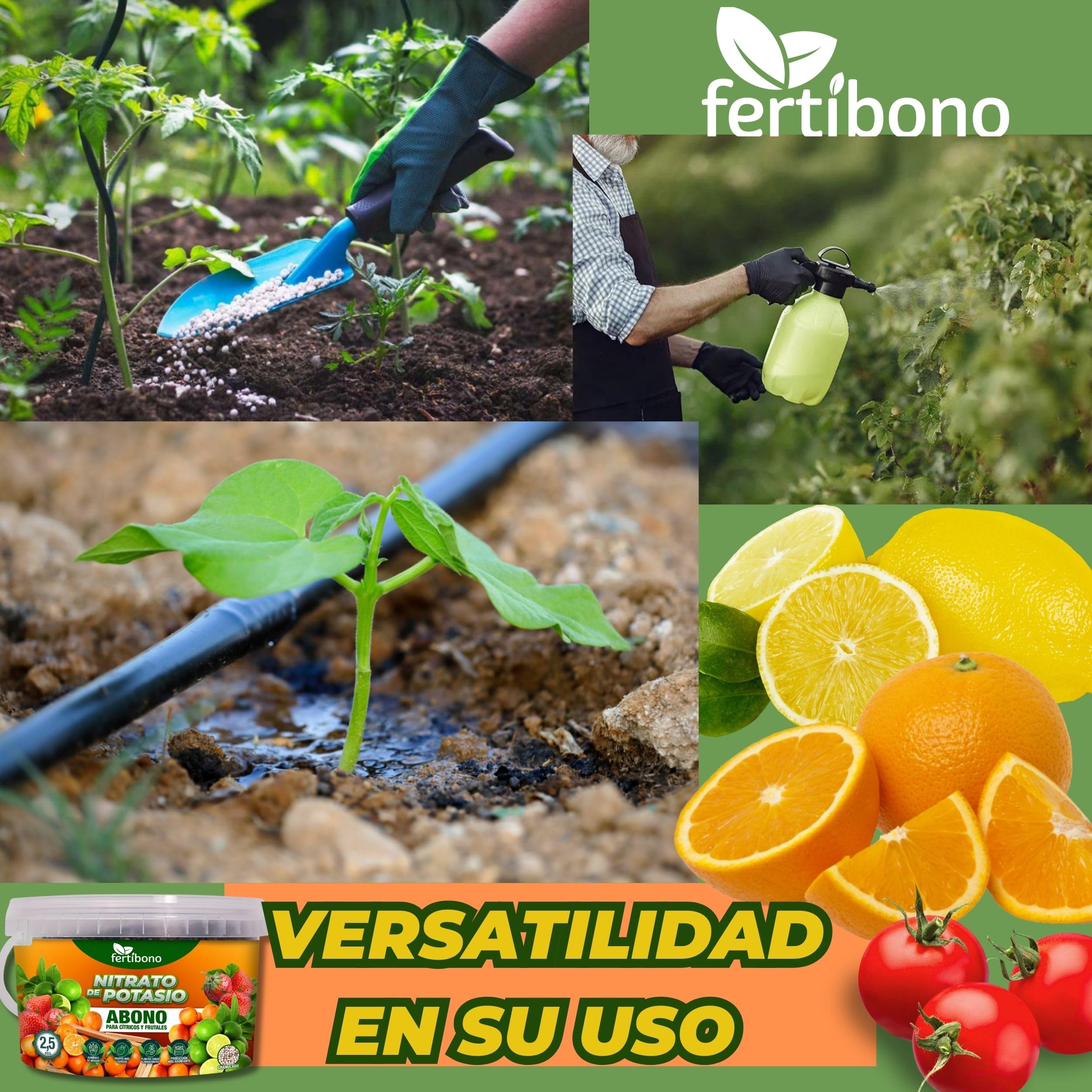 FERTIBONO Nitrato de potasio,Puro (KNO3) 13-00-46, Aumenta el Tamaño y la Calidad de la Fruta, los Azúcares y el Rendimiento de los Cítricos (2.5.0)