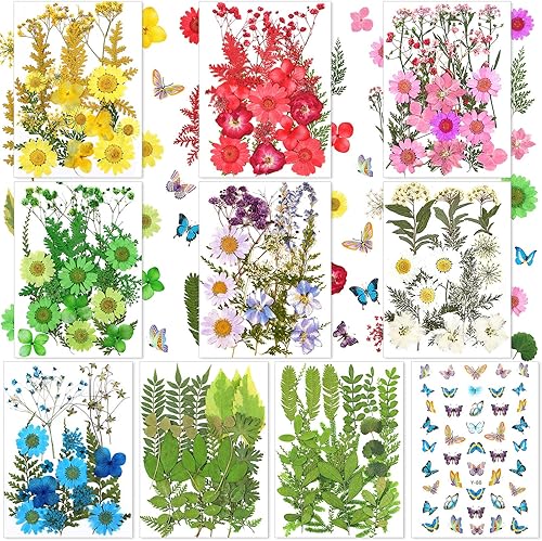 Juego de 223 calcomanías de flores secas reales, hojas y mariposas, múltiples flores secas prensadas, coloridas margaritas naturales y calcomanías