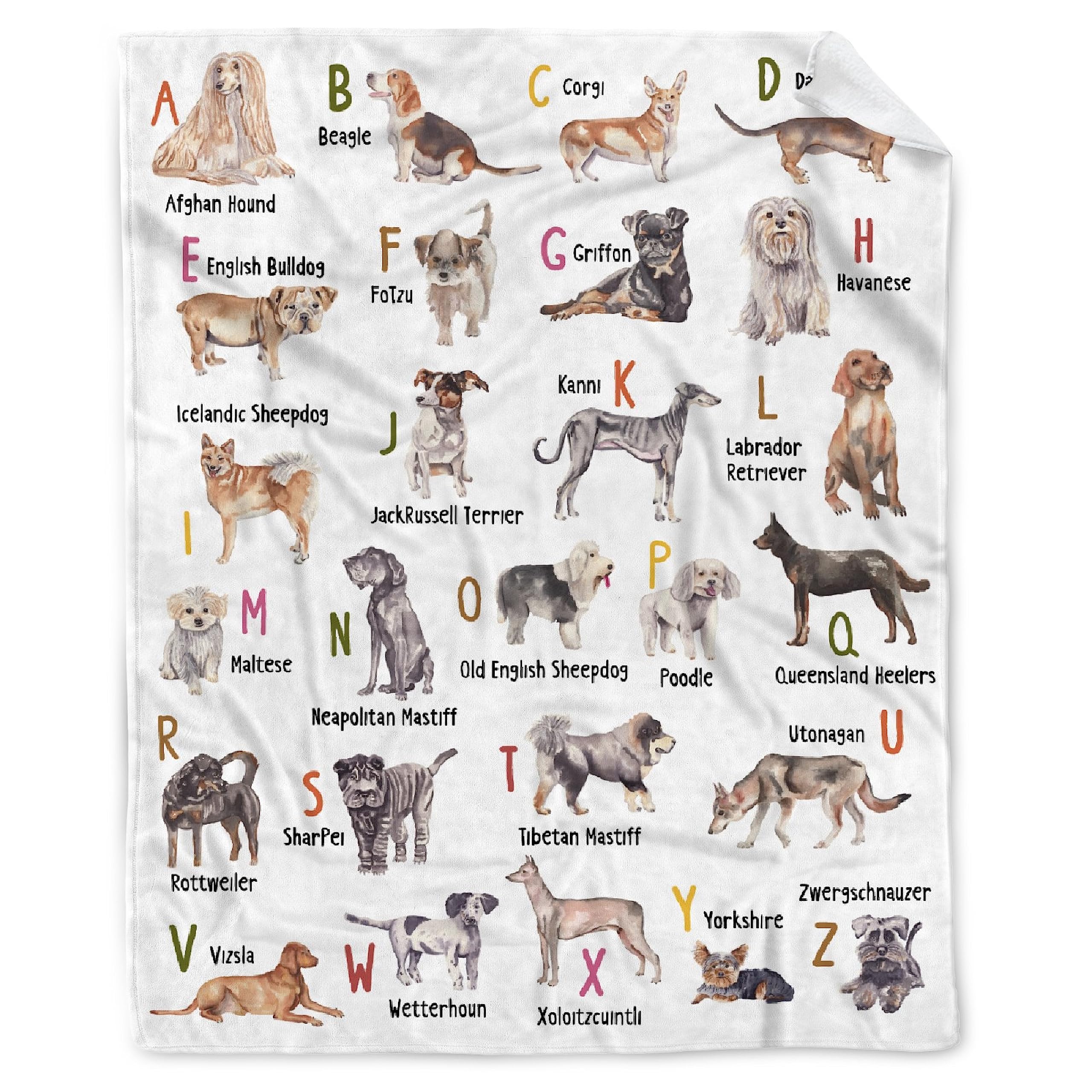AMITAYUS Ultra Soft Flannel Fleece Couch Throw Blanket Dog Alphabet Full Size Warm Cozy Fuzzy Small Blanket for Travel Toddler 50"x40" for Kid