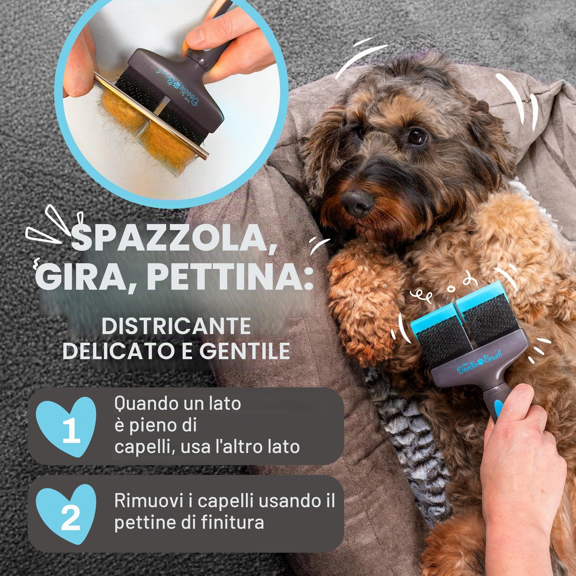 The Doodle Brush Spazzola Per Cani Per La Muta Doppia Testa Doodle | Design Flessibile, Punte Lunghe Delicate, Districa Grovigli, Mantello Riccio Curato, Ideale Goldendoodle Barboncini