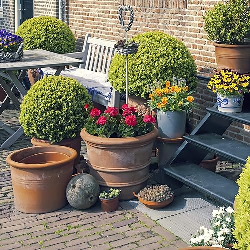 Miniatura 3 de Mezcla de flores orgánicas para cortar ramos, paquete de 0.18 oz  más de 1,000 semillas, 6 variedades para atraer mariposas, abejas y otros