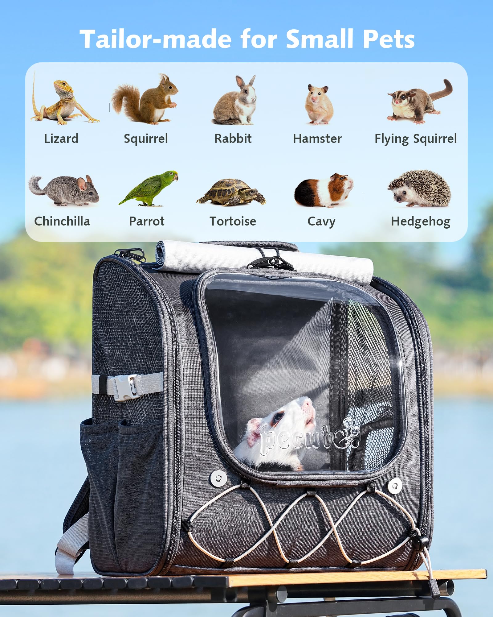Pecute Zaino per animali domestici di piccola taglia, traspirante, stabile, con bolle, con tende a rullo per protezione solare, zaino per cani per escursioni, passeggiate, viaggi, grigio