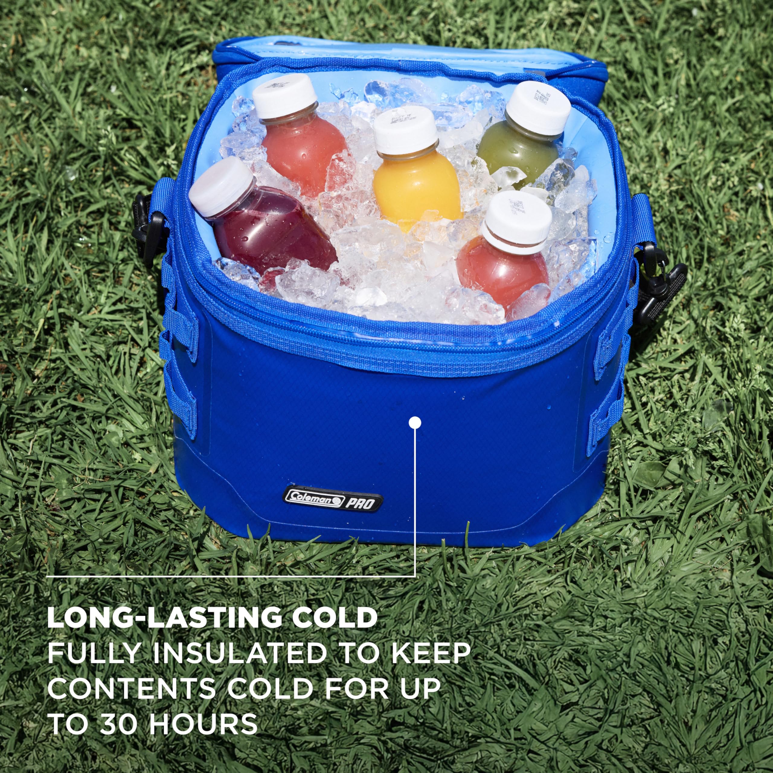 Coleman Glacière souple Pro 16 canettes, Neptune