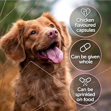 CystoPro Capsules for Dogs and Cats, Bladder Health and Immune System Support, Meat-Free Chicken Flavour, 30 Capsules
