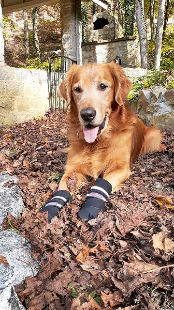 Foto 6 de 8 de Bark Brite Todas Las Botas De Perro Protector De Neopreno Resistente A La Pata con Straps Reflectante (XL…