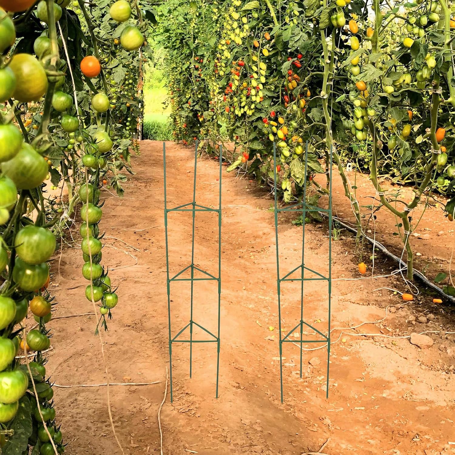 3 Sets Plant Support Brackets Trellis for Climbing Plants Indoor Outdoor Garden Vine Climbing Rack with 27 Rods and 18 Connectors Multi-use for Potted Flowers and Vegetables