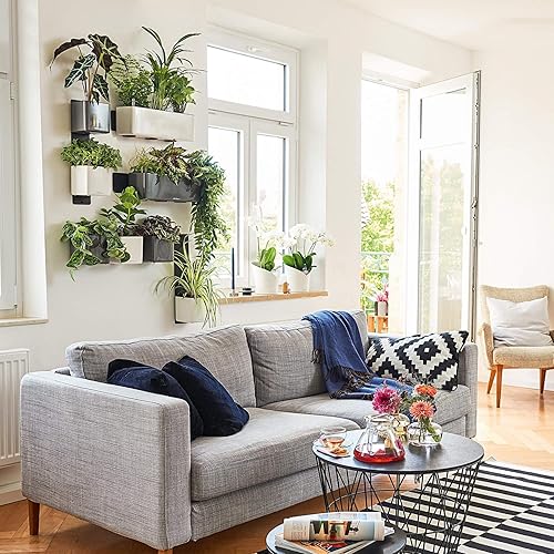 Miniatura 4 de Lechuza 13523 Kit de maceta de riego automático para uso en interiores y exteriores, 19 x 6 x 5 pulgadas, color verde