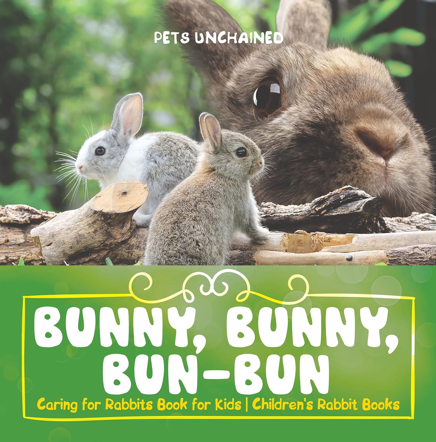 Amazon.com: Bunny, Bunny, Bun-Bun - Caring for Rabbits Book for Kids ...