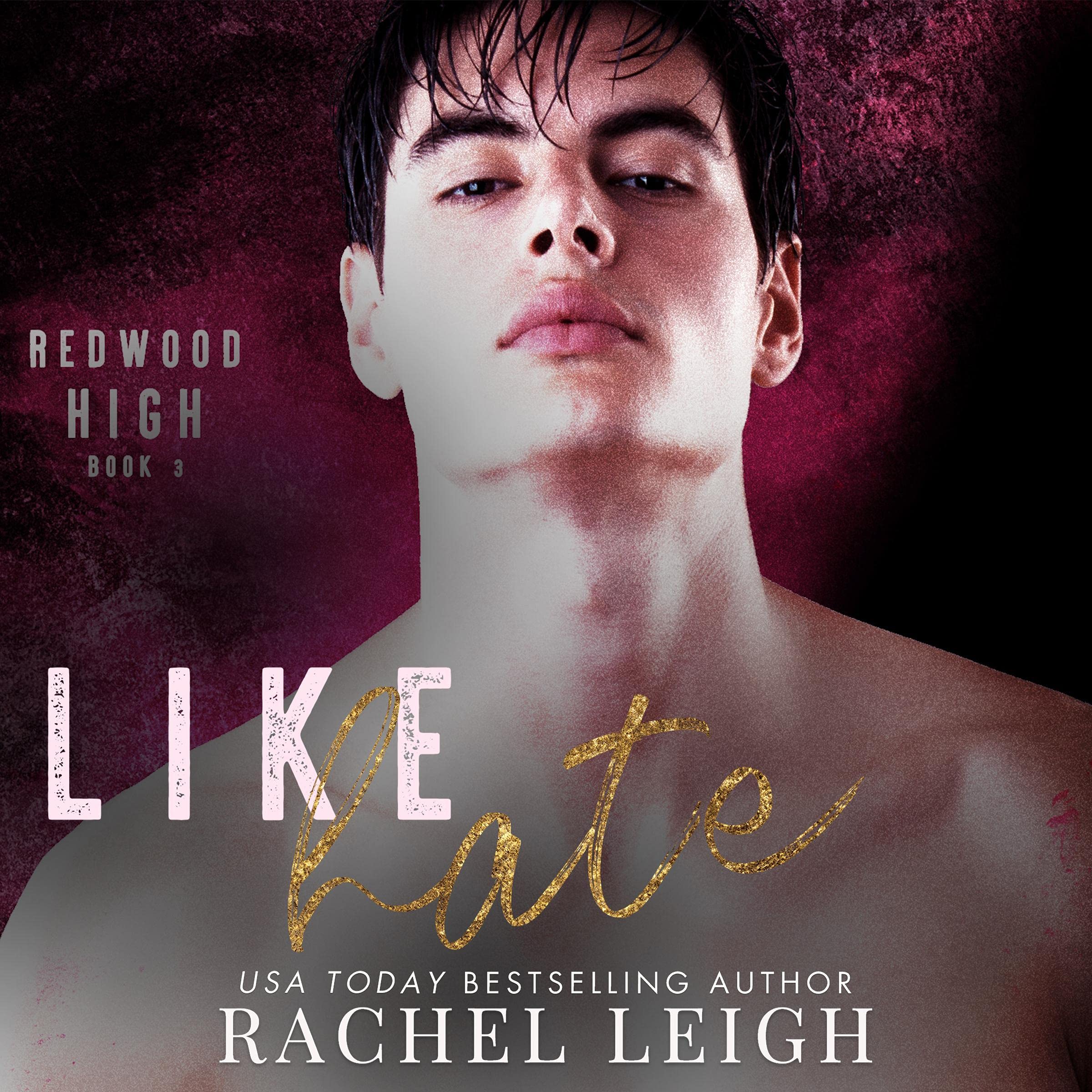 Like Hate: A Bully Romance