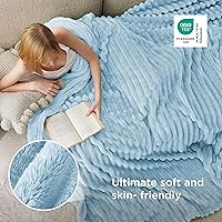 Vista 4 de Bedsure GentleSoft - Manta de forro polar azul para sofá, mantas suaves y acogedoras para mujer, lindas mantas pequeñas para niñas, azul claro, 108