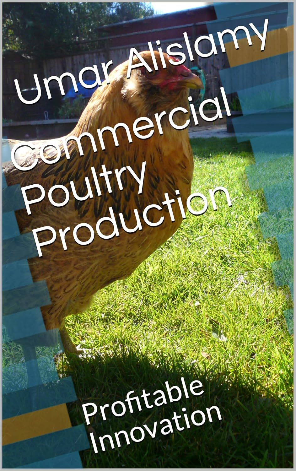 Commercial Poultry Production Profitable Innovation eBook