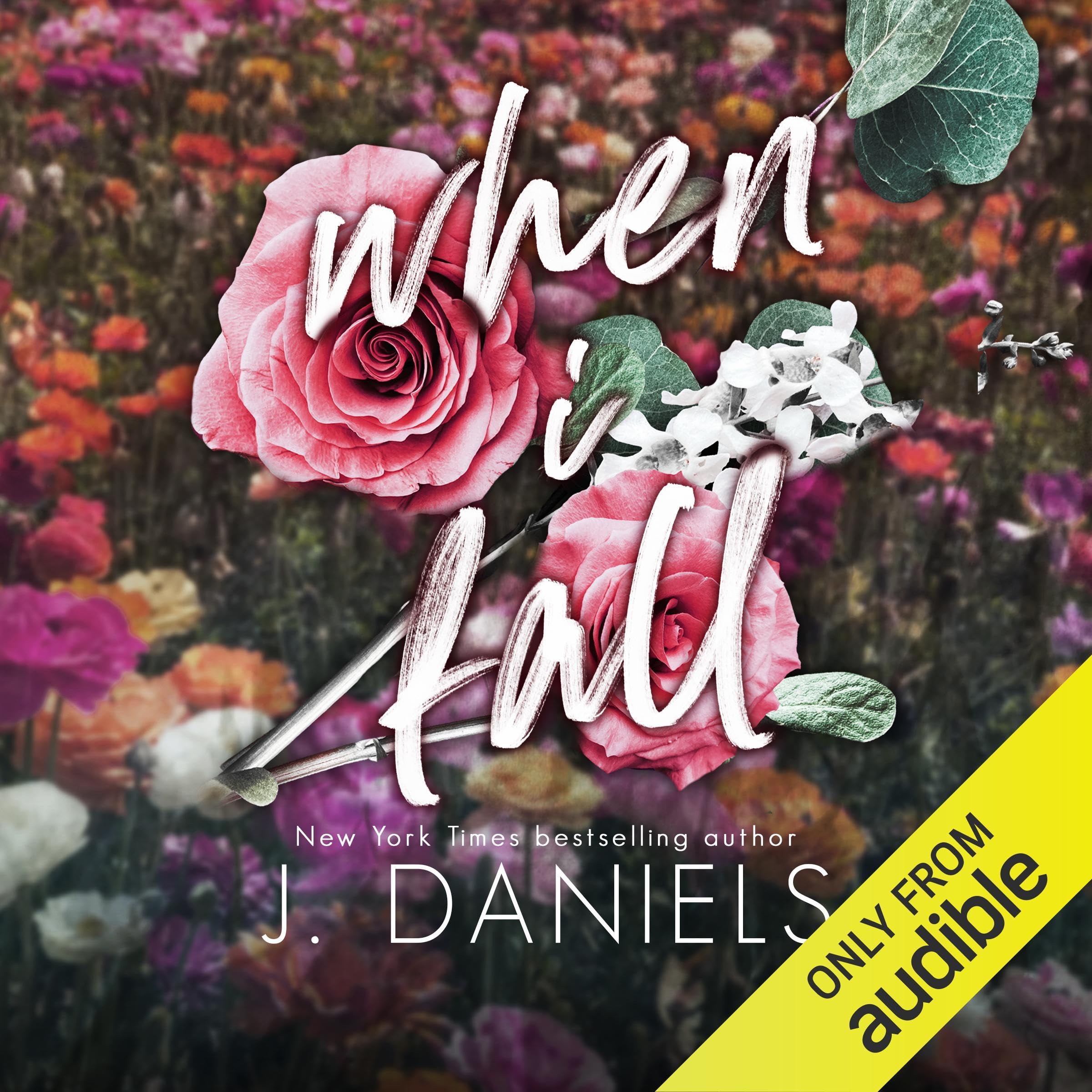 Cover art for When I Fall