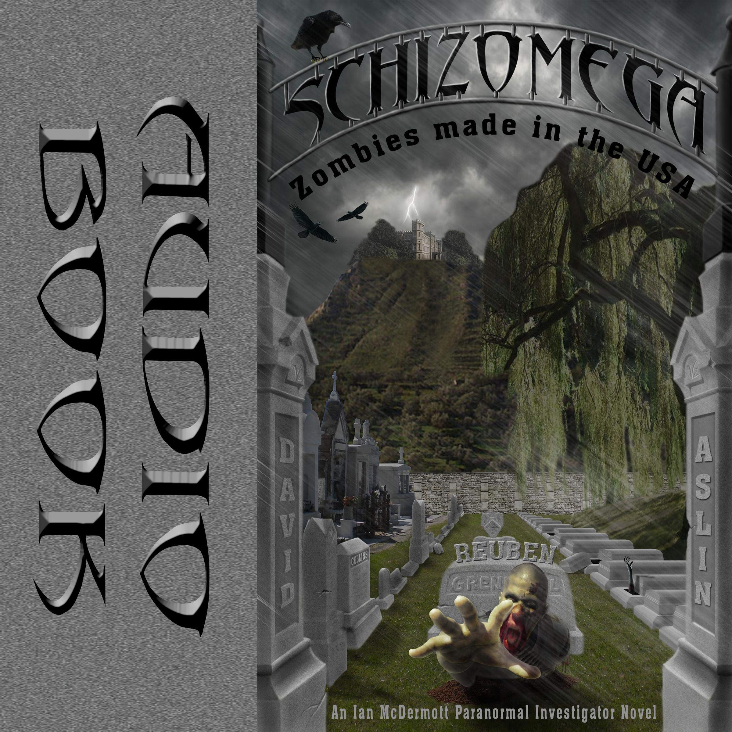 Cover art for Schizomega: Zombies Made in the USA