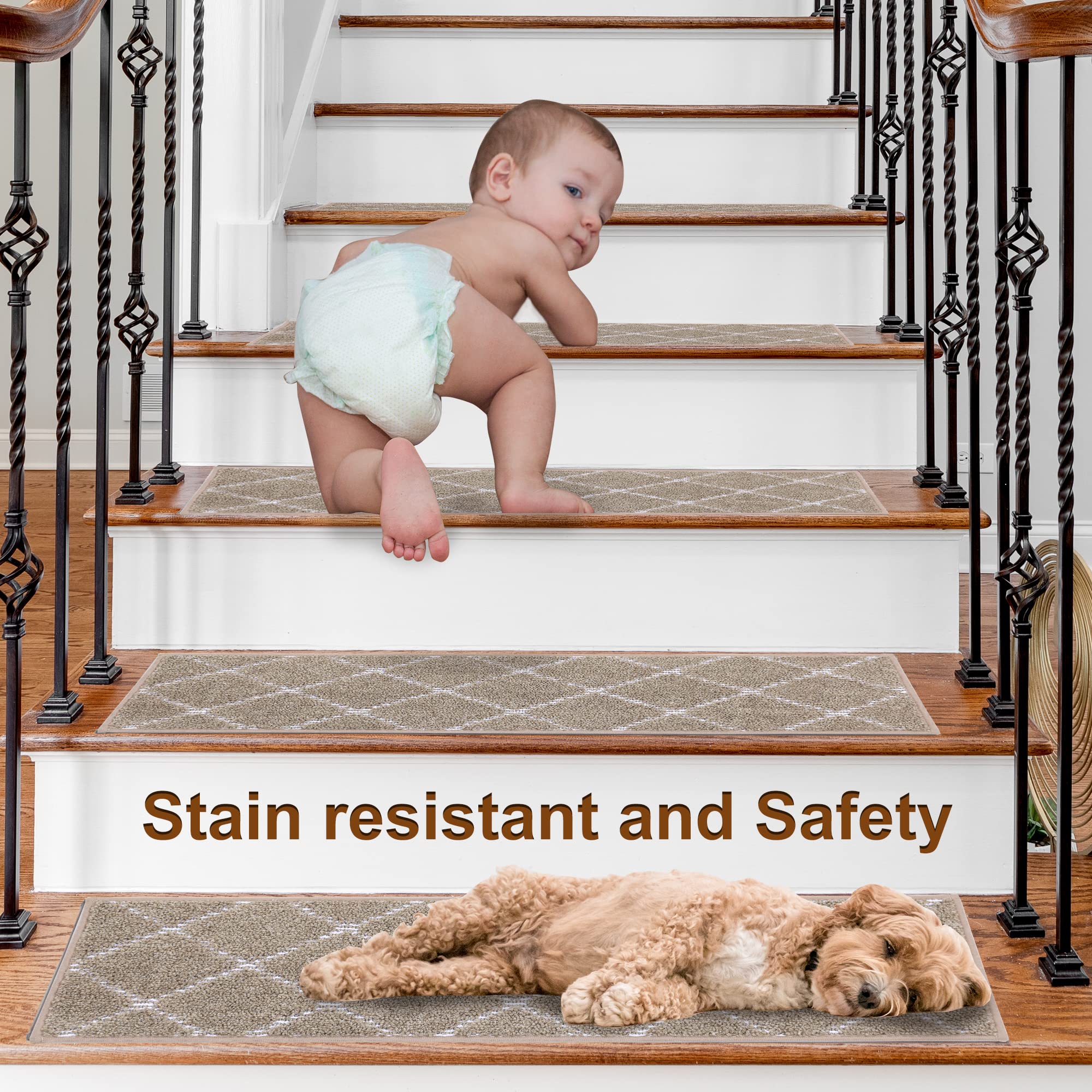 https://m.media-amazon.com/images/I/91qaS3I12nL.jpg