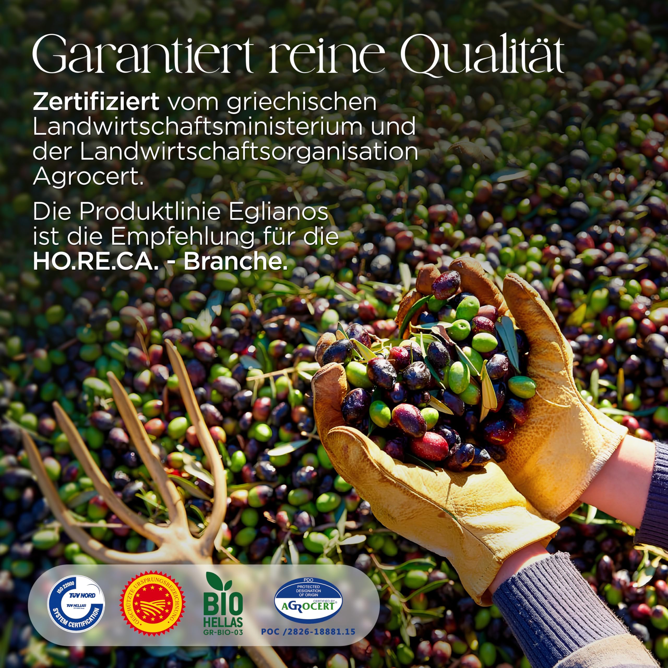 Eglianos Extra Natives Olivenöl - Griechisches Olivenöl 5 Liter kaltgepresst - reich an Polyphenolen - Kalamata Olivenöl in Premium Qualität - Koroneiki Oliven - Kaltextraktion - niedriger Säuregehalt
