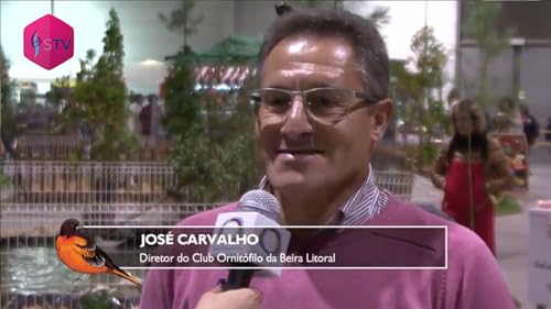 Sobrenatural TV