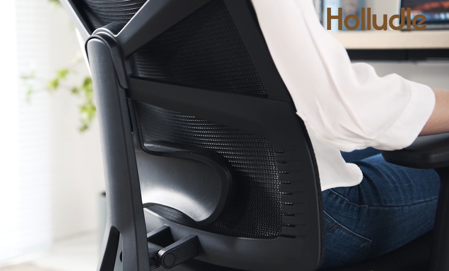 HOLLUDLE Ergonomischer Bürostuhl mit 3D Lendenstütze & 3D verstellbaren Armlehnen – V-förmiges Rücken-Design, bequemer Schreibtischstuhl für Büro & Zuhause, Schwarz