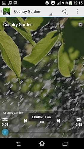 Relaxing Nature Sounds