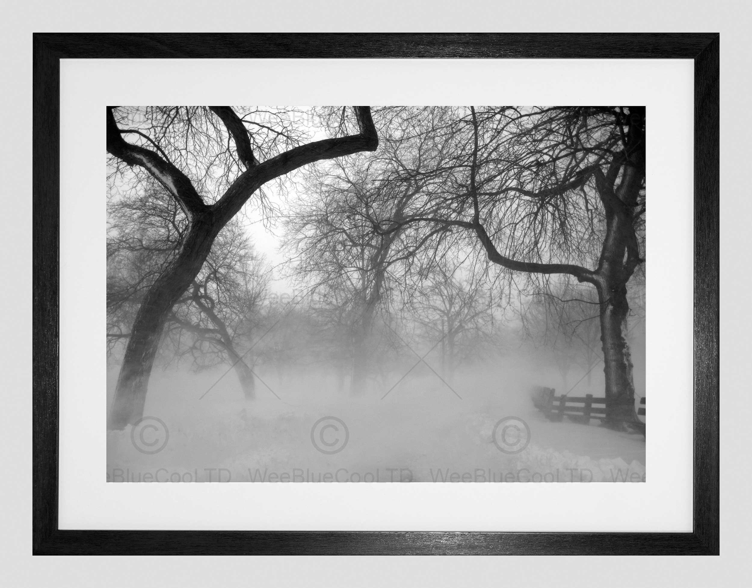 Wee Blue Coo Nature Landscape Forest Snow Fog Ice Winter Black White Framed Wall Art Print