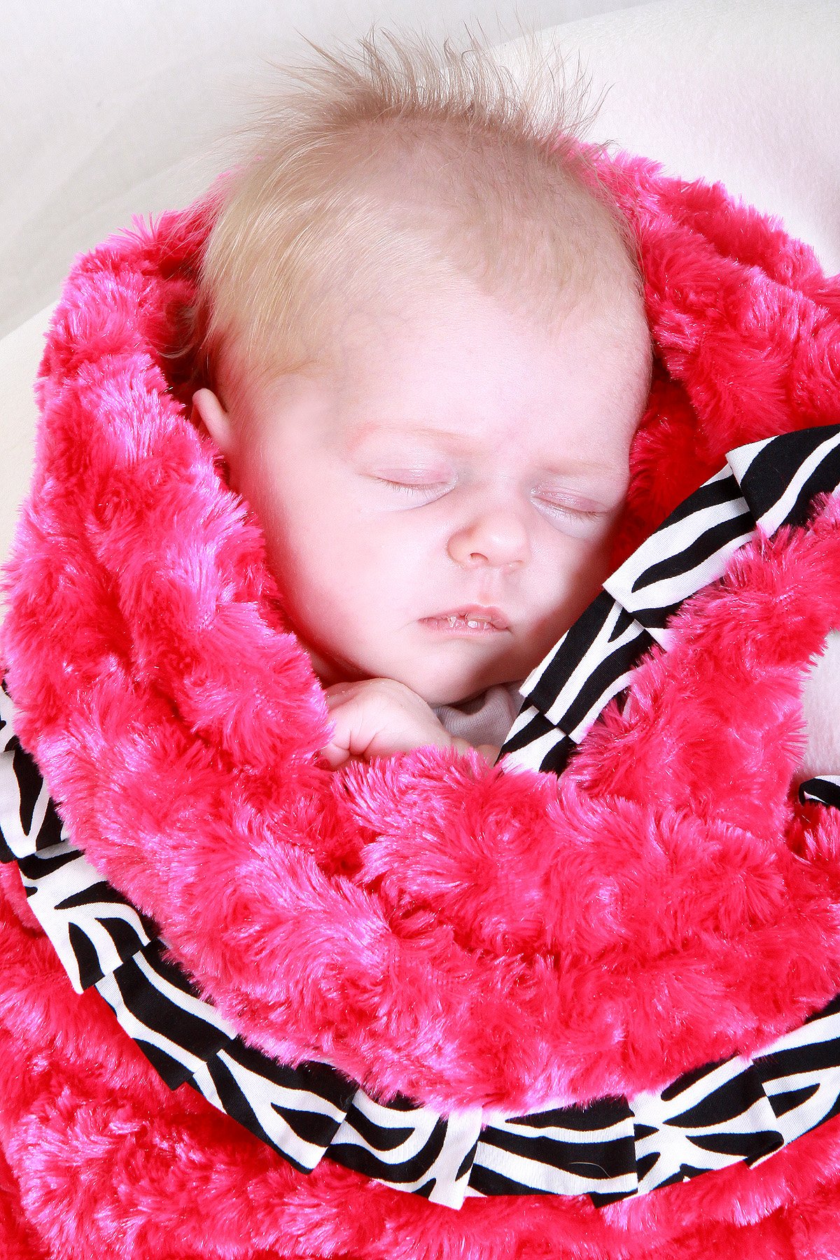 Trend Lab Velour Blanket With Trim Pink Rosette With Zebra