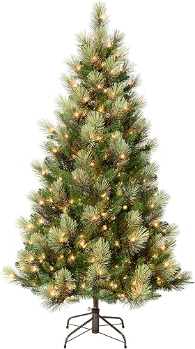 National Tree Company First Traditions - Árbol de Navidad delgado con diseño de pino Charleston luces incandescentes transparentes enchufable 6 pies