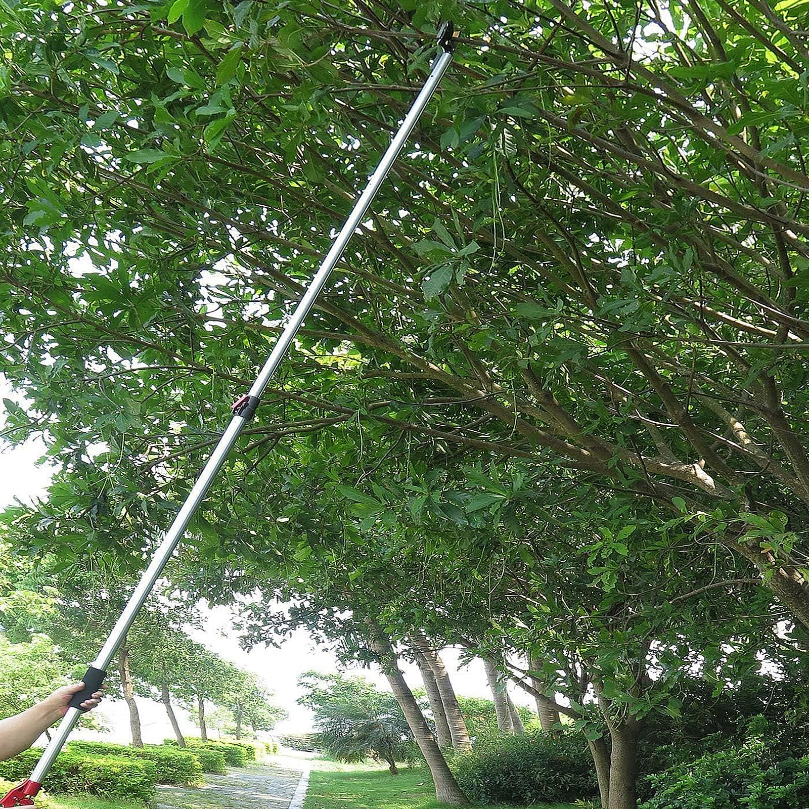 1,4–3m Teleskop Astsäge, Baumsäge mit SK5 3D Stahl Zahnung, Sägeblatt Länge 30cm, Gartenschere Blumenschere, Obstpflückschere zum Garten und Freien