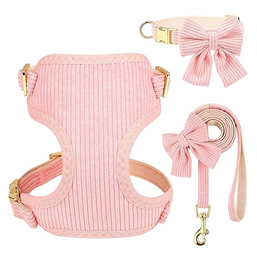 Didog Cute Small Dog Harness Collar and Leash Set with