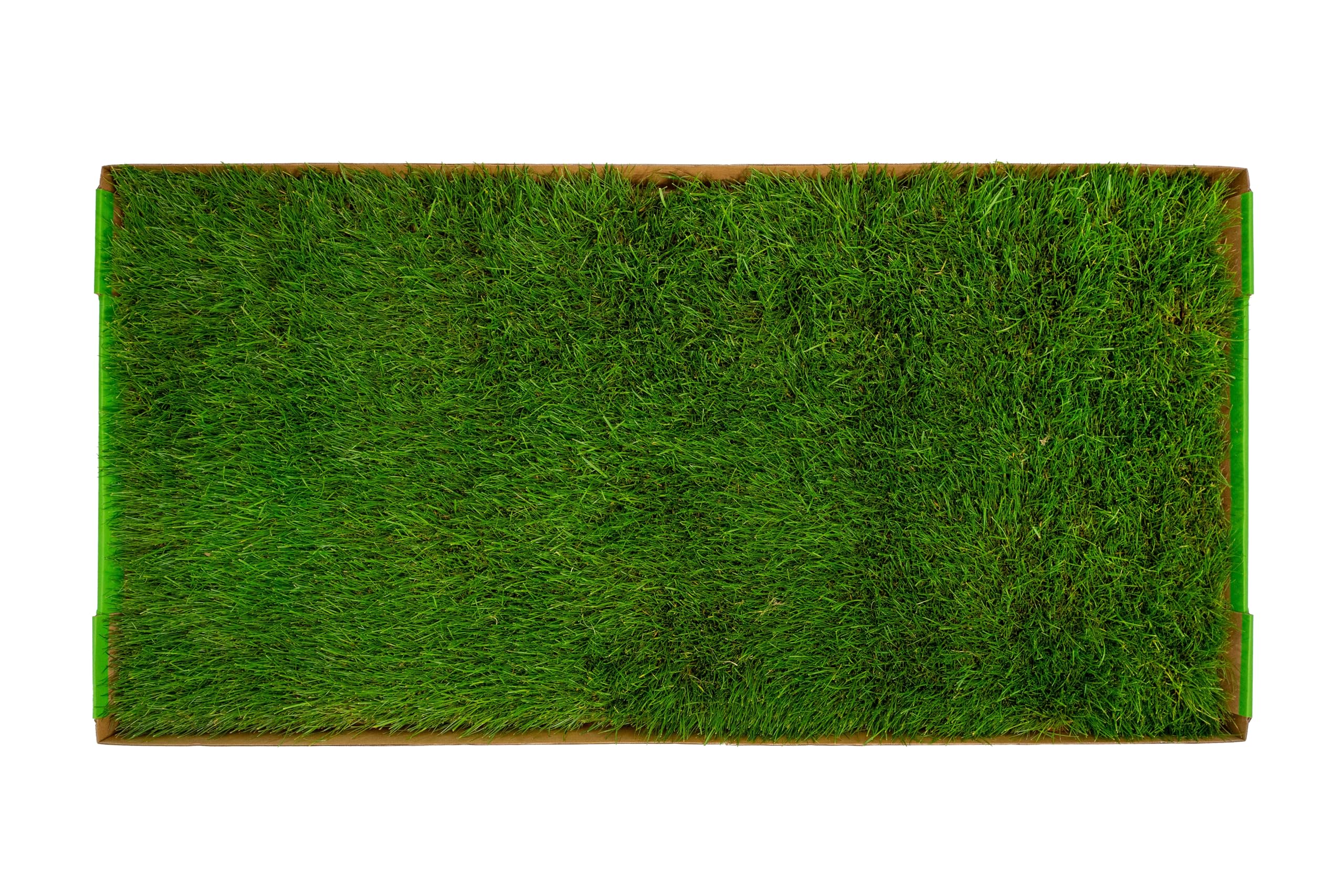 DoggieLawn XL - Almohadilla para orina de perro de hierba real con bandeja desechable integrada, sin limpieza, sin olor, entrenamiento para orinal en interiores y exteriores para cachorros y perros