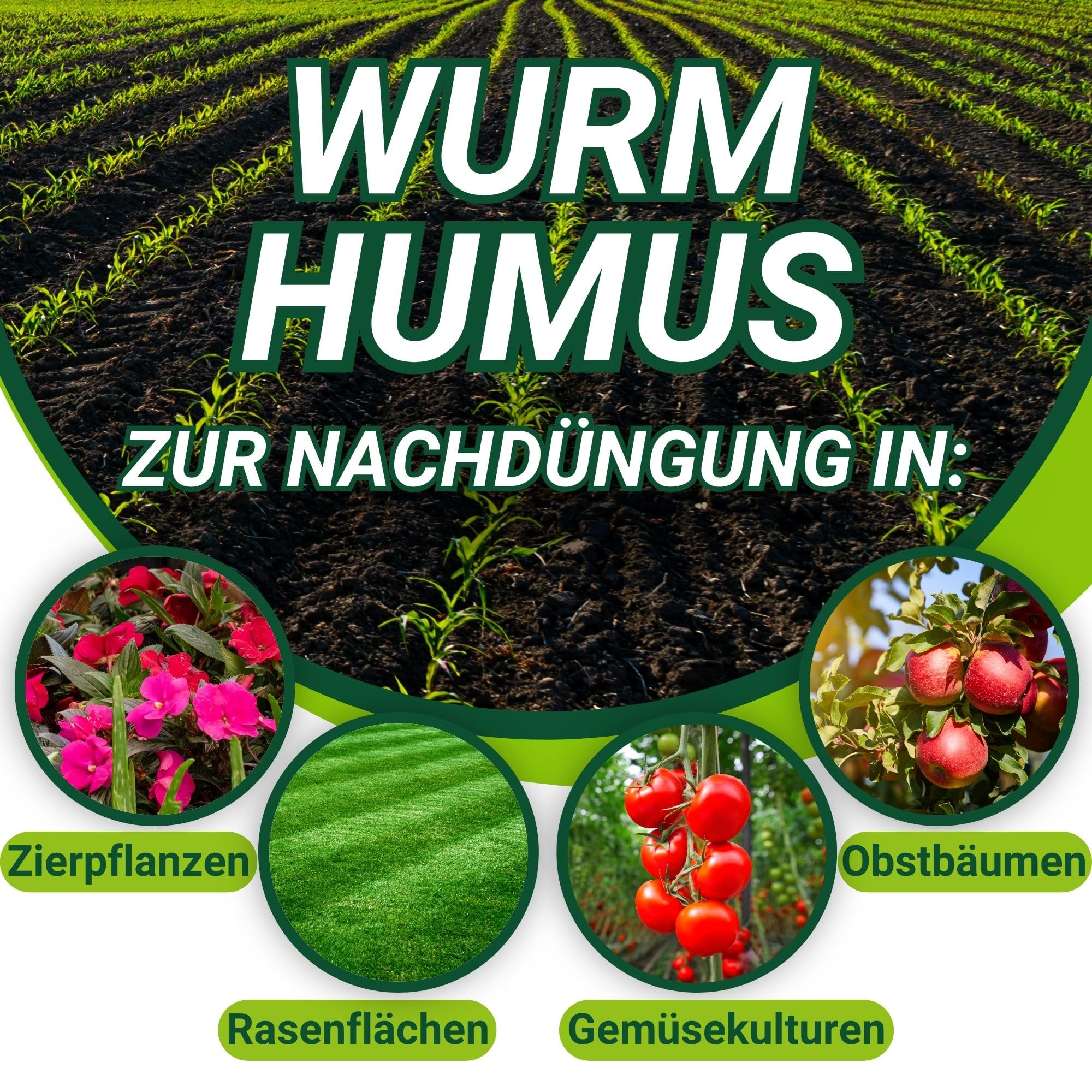 DżoHumus BIO Dünger 1000L Obst und Gemüsedünger | Compo Blumendünger Flüssig für Wachstum | Natürlicher Pflanzendünger für alle Grünpflanzen | Grünpflanzendünger für Große Garten