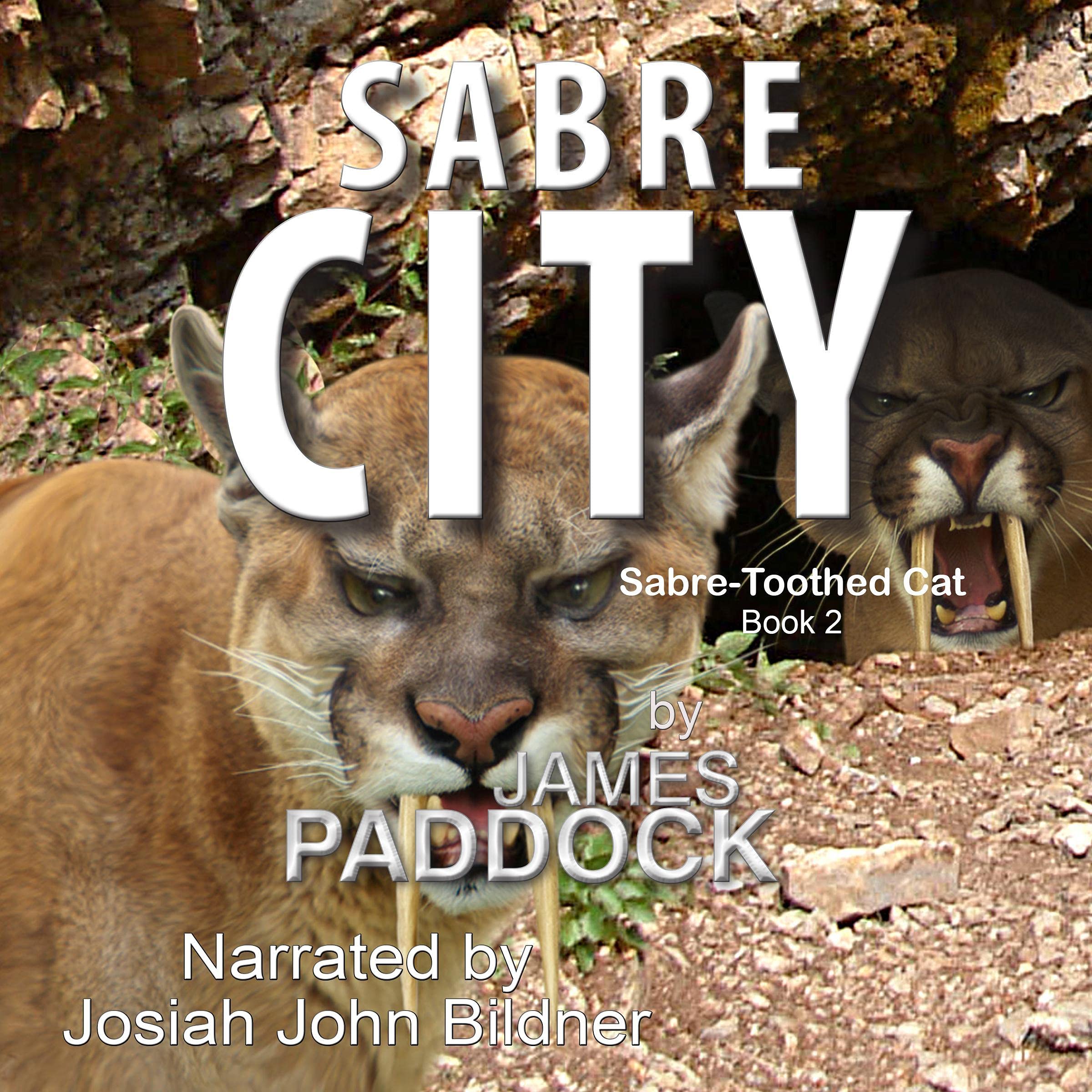 Cover art for Sabre City