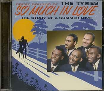 ザ・タイムス なぎさの誓い ソーマッチインラヴ オールディーズ ザ・タイムス なぎさの誓い ソーマッチインラヴ オールディーズ