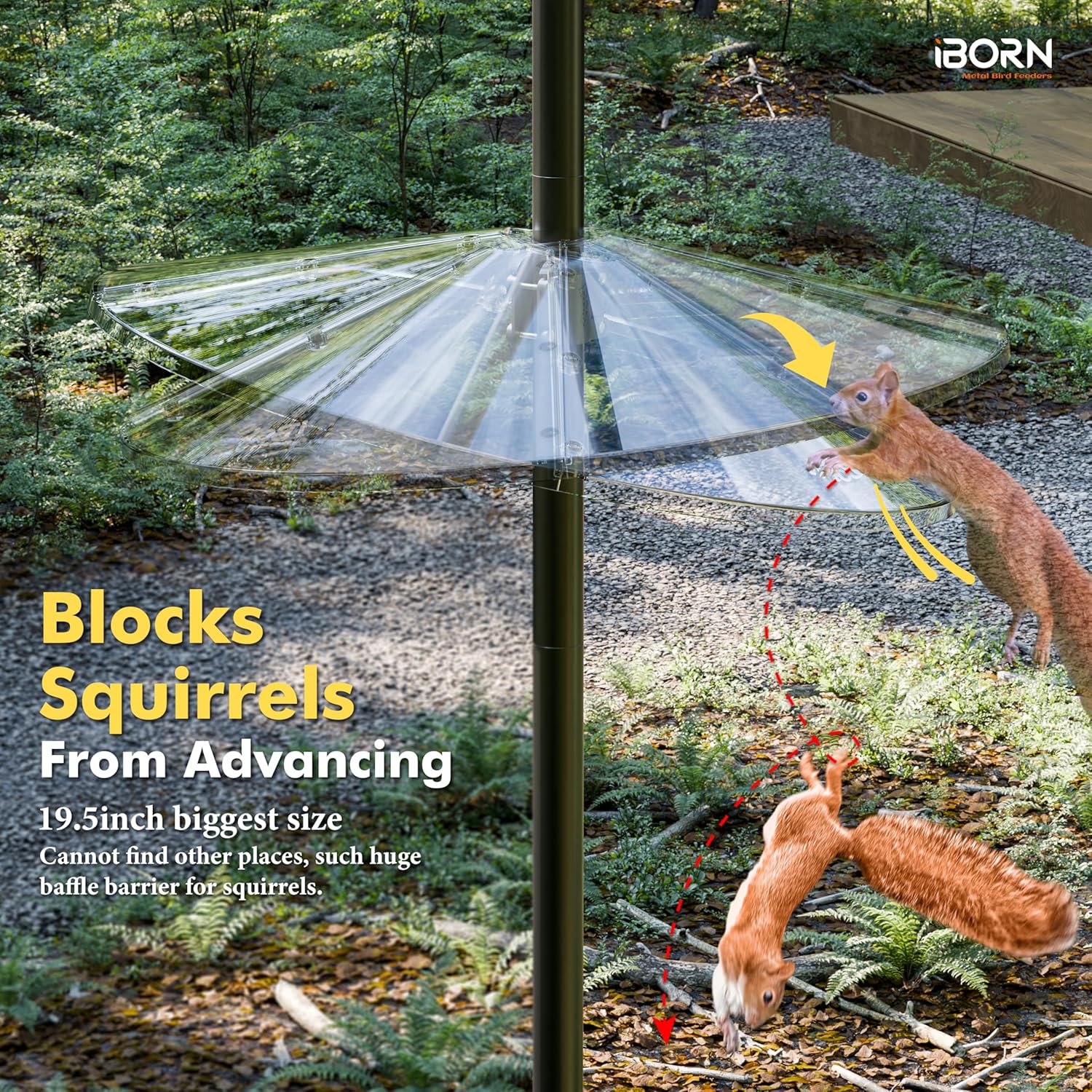 iBorn Squirrel Baffle for Bird Feeder Pole, 19.5” Oversized Squirrel Guard Defender, Bird Feeder for Outdoors Protector, Polycarbonate(PC), Pack of 1, Clear