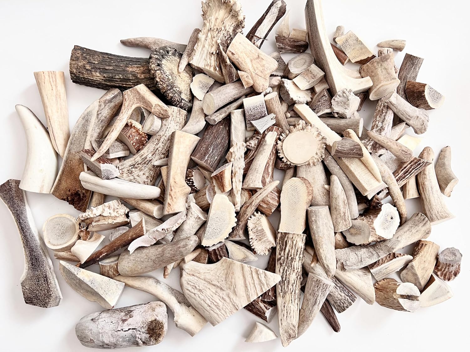 PEPPERLONELY Deer Antler Tips & Chunks - Varies (Antler Tines for Crafts)