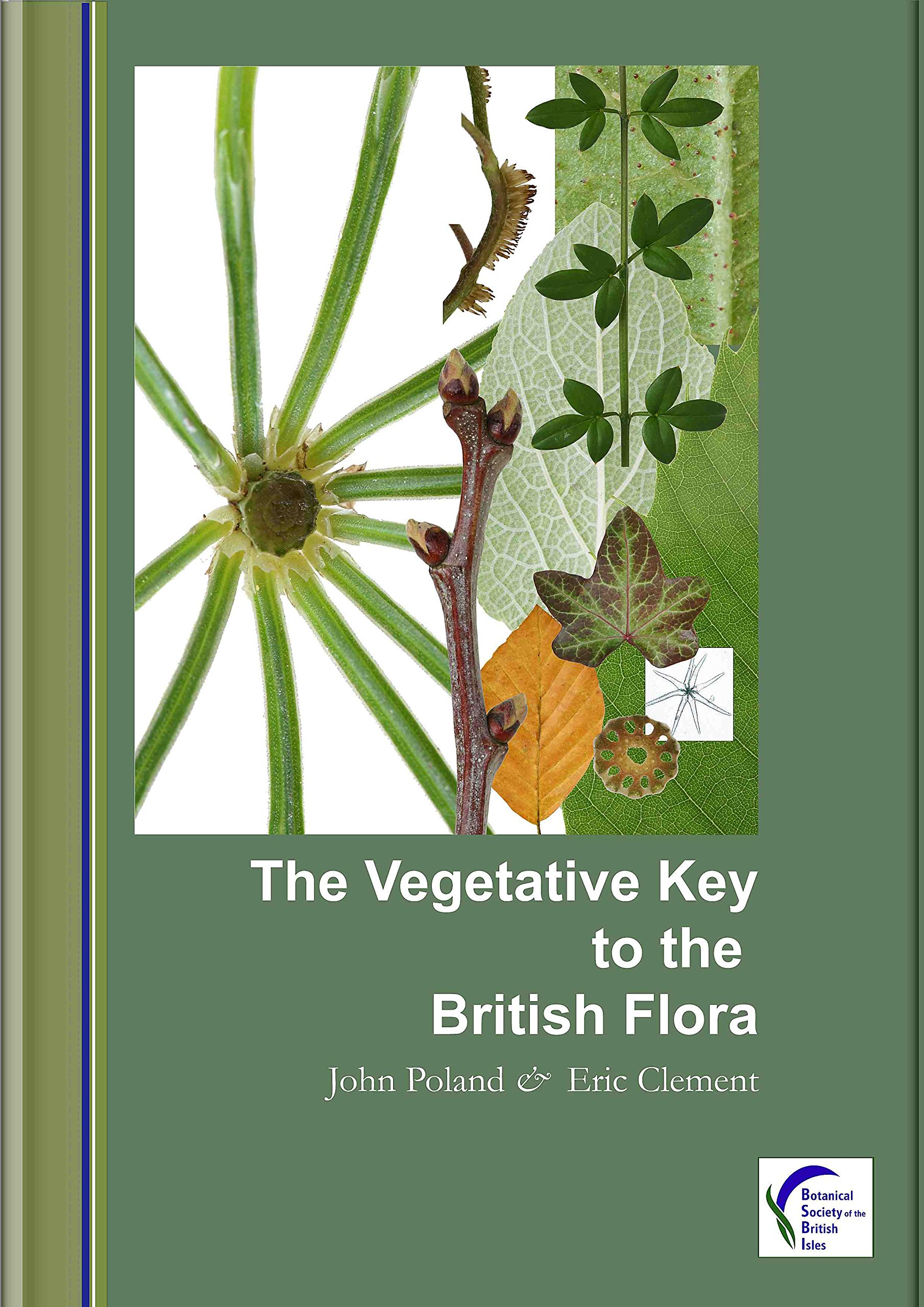 The Vegetative Key to the British Flora: A new approach to naming British vascular plants based on vegetative characters (English Edition)
