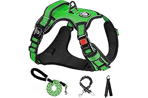 NESTROAD Lime Green Dog Harness: Unleash Safety and Comfort for Your Canine Companion