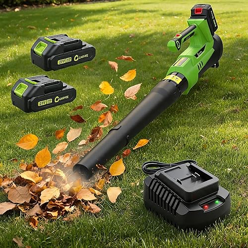 20V Cordless Leaf Blower, 550CFM 130MPH Electric Leaf Blower with 2 x 2.0Ah Batteries and Charger, 6-Speed Variable Adjustment, Lightweight Handheld Blower for Lawn Care Yard Patio Garden