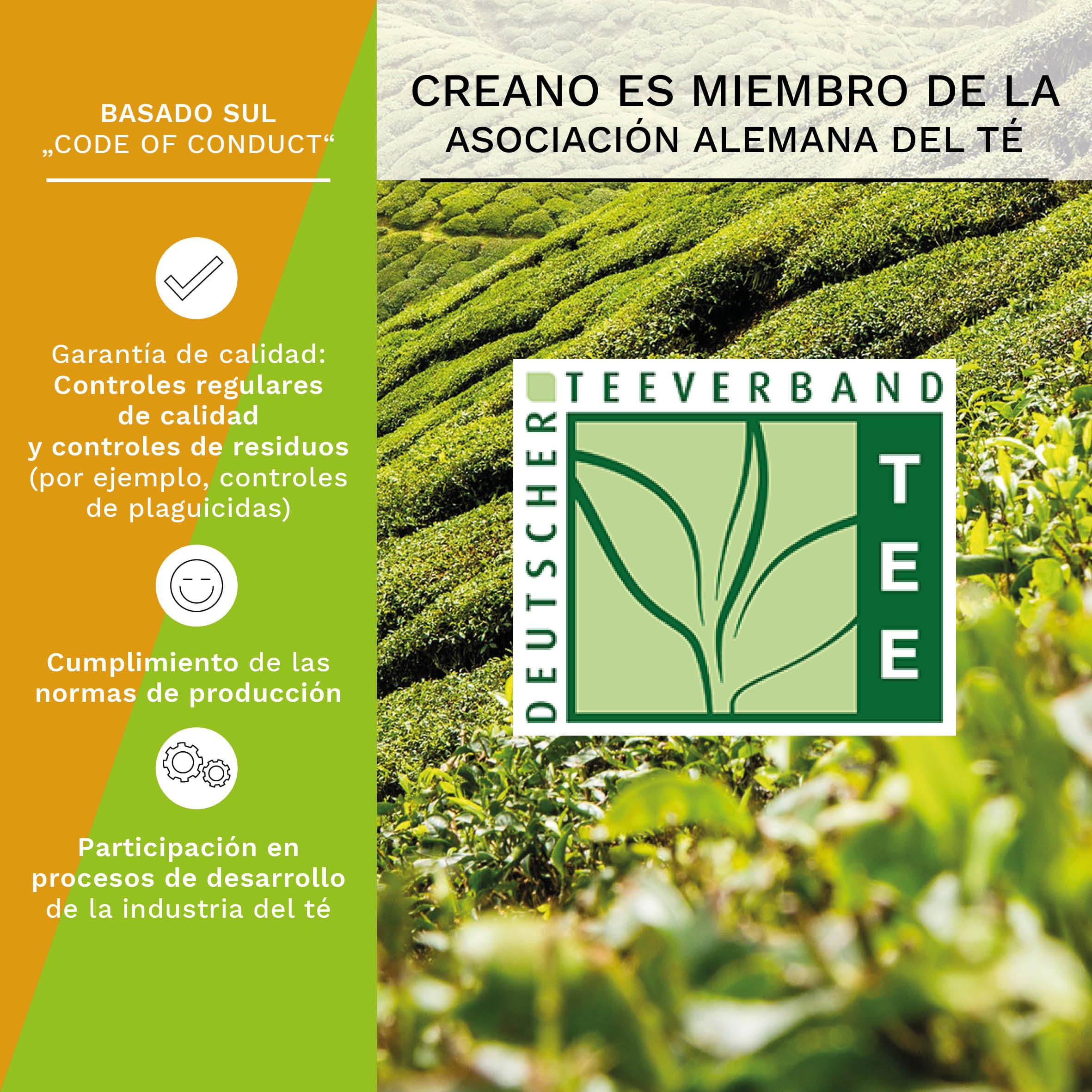 Creano Teelini Flores de Té Blanco y Verde 4 uds – Mix de Sabores en Porción para Taza – Regalo Original para Oficina y Casa
