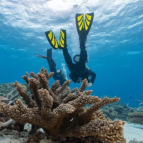 Miniatura 7 de TUSA SF-0111 Hyflex Zoom Aletas de Buceo