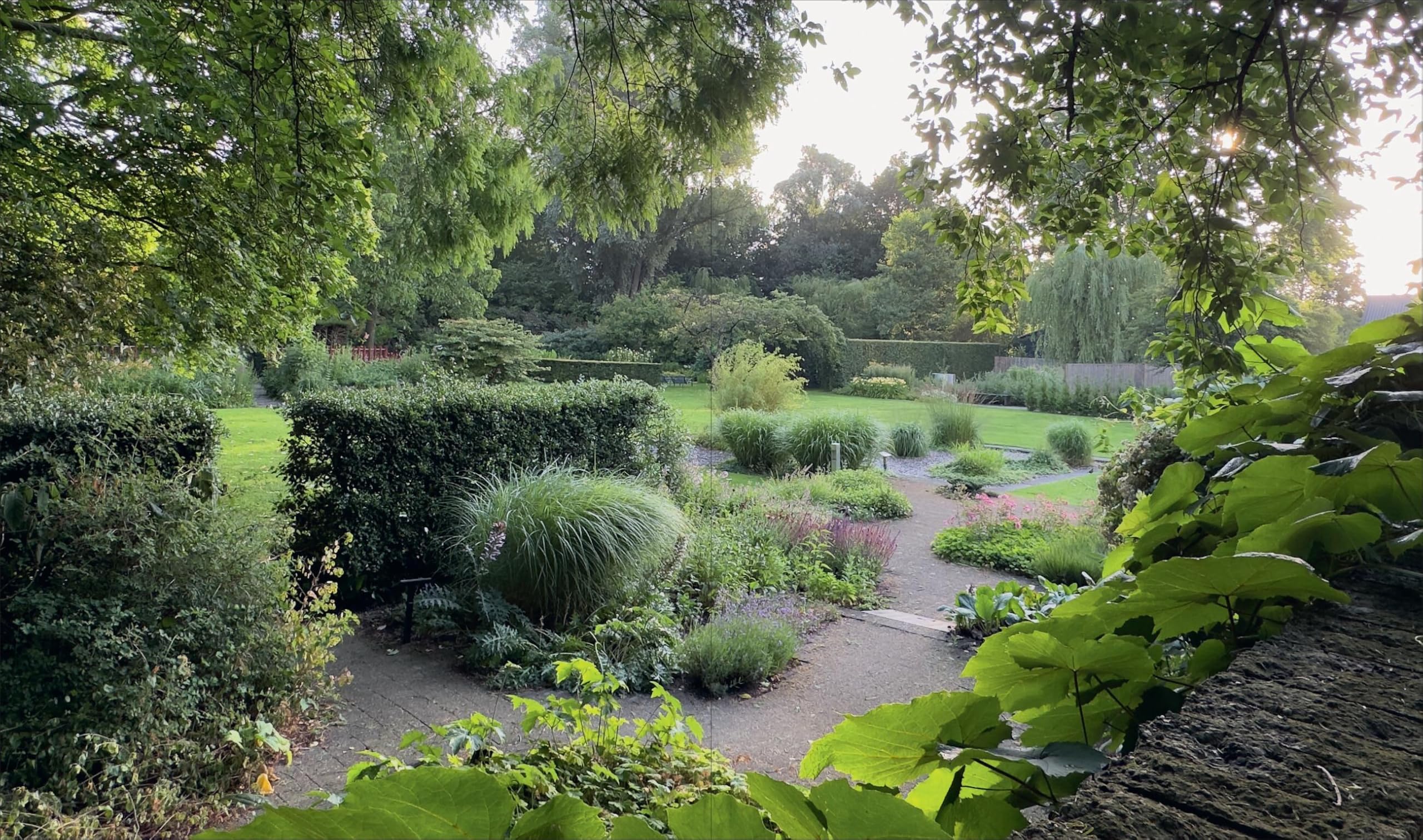 The Gardens of Mien Ruys: Strong Design, Lush Planting, and the Origins of the Modernist Garden