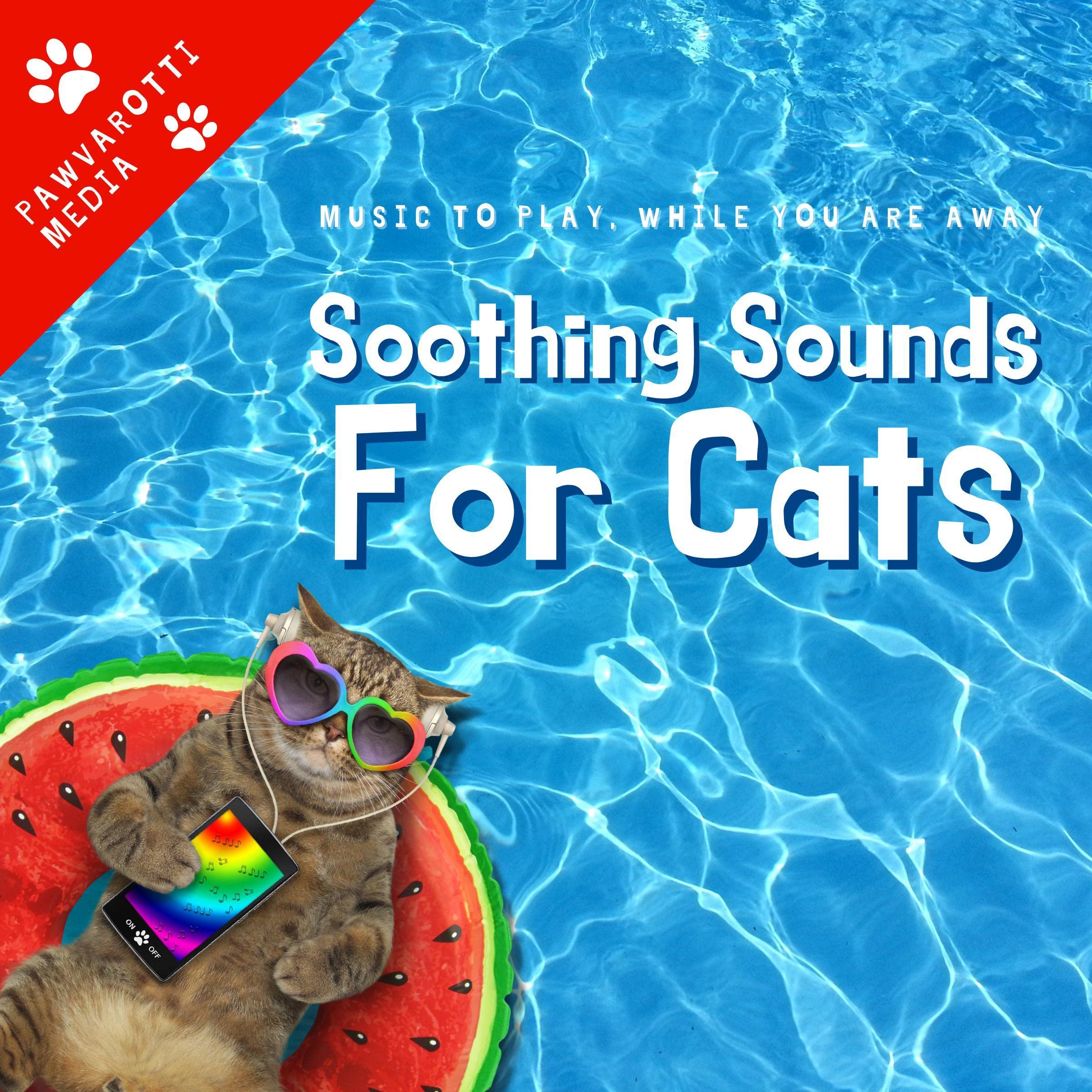 Soothing Sounds for Cats