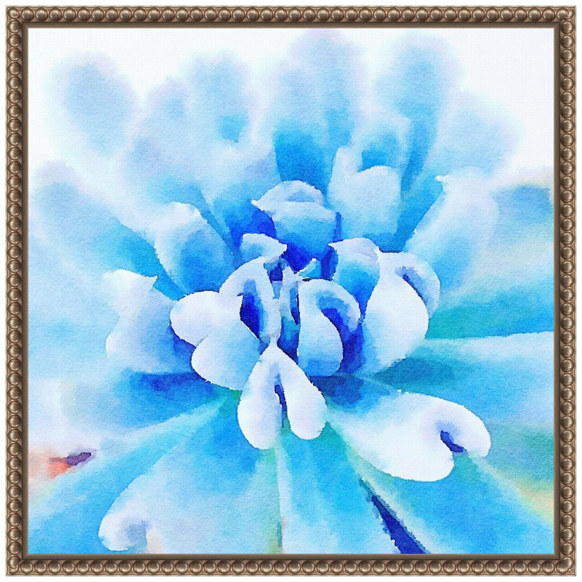 Amanti Art Framed Canvas Wall Art Print (16x16) Succulente III by Gladle Bolick Float Framed Canvas Art for Wall Decor, Living Room, Bedroom, Bathroom, Kitchen, Office or Business Artwork