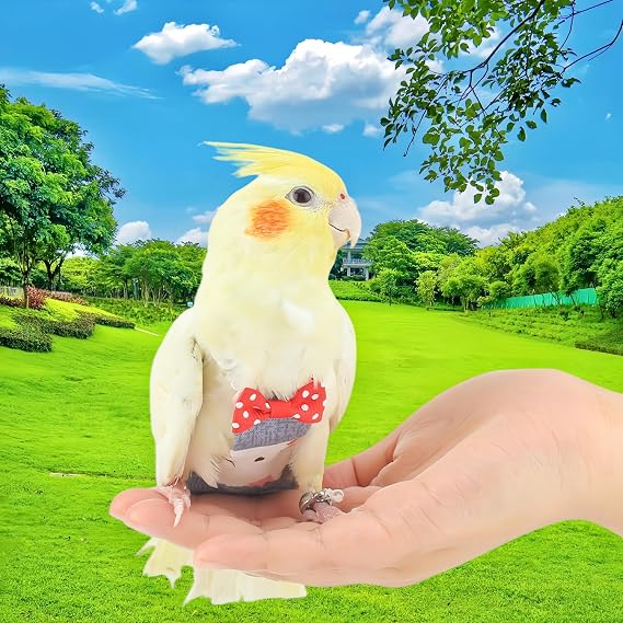 2Pcs Bird Diapers Bird Harness Flight Suits Diapers with 80 Inch Flying Leash Parrot Nappy Washable Cute Urine Wet Suit for Cockatiel Conure Macaw Budgies Parakeet-Pineapple&Kitten,M